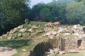 Newquay Zoo