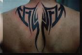 Tribal