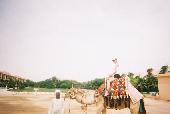 Camel driver