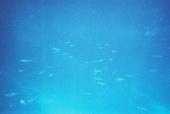 Underwater