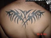 Tribal