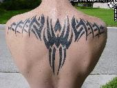 Tribal