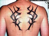 Tribal