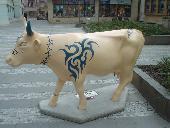 Tattooed Cow again