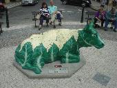 Cow-liflower