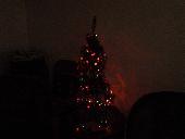 Our Xmas Tree