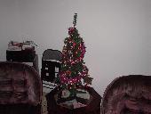 Our Xmas Tree